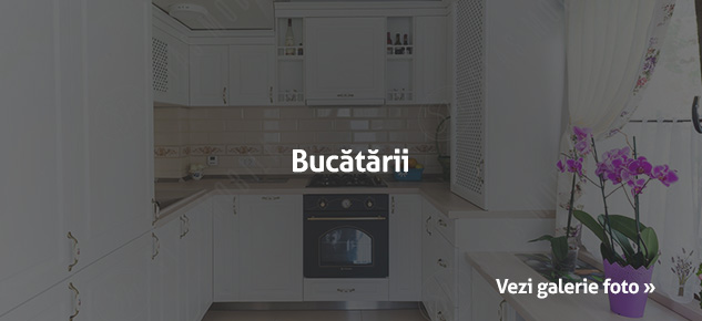 bucatarii