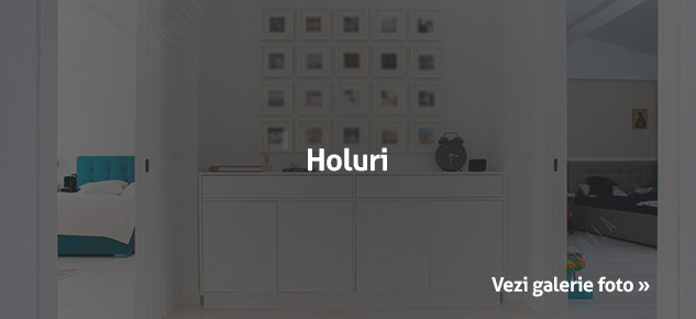 holuri